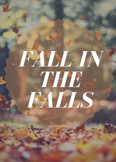 Fall in the Falls