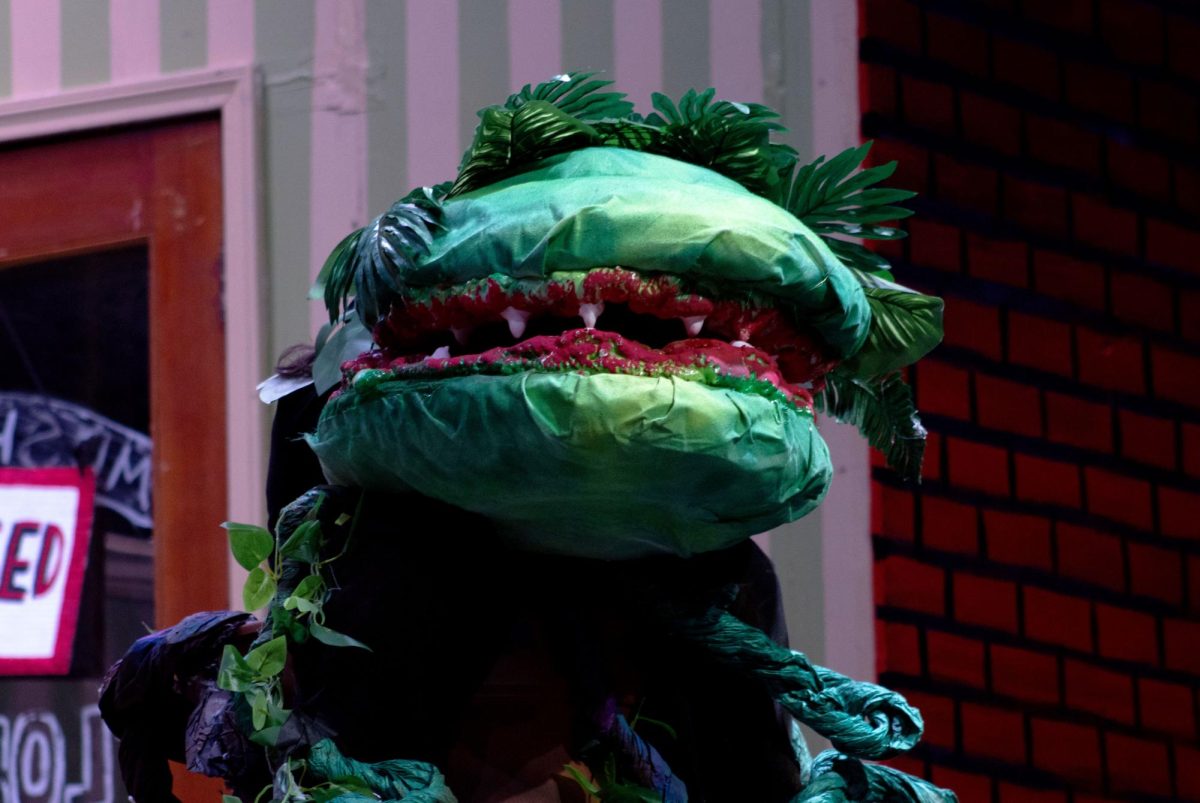 A shot of Audrey II in his second phase of growth. Although the plant appears to be in a pot, motionless, a person was in fact sitting behind it controlling the flaps with their hands. 